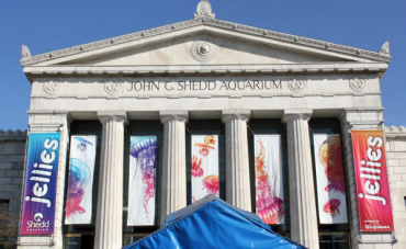 Front columns of the John G. Shedd Aquarium